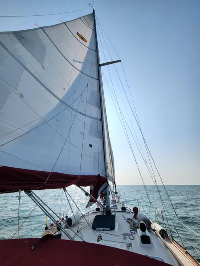 True North Yacht Photos Pics 