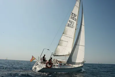 1989 Kelt Kelt 29