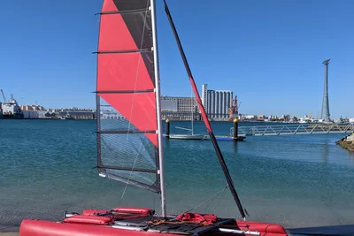 2023 Custom Happy Cat Hurricane