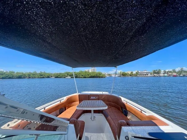 Getting There Yacht Photos Pics 2017 Boston Whaler Vantage 320 boat with canopy on calm water.