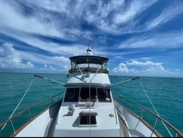 Blue Max Yacht Photos Pics 