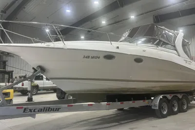 Cruisers 3175
