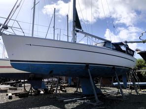 2003 Bavaria 36