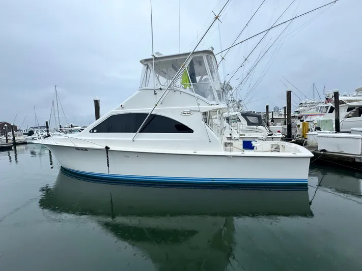 Fin - Allie Yacht Photos Pics 