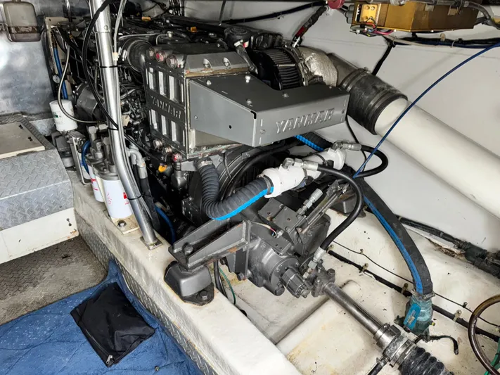 Fin - Allie Yacht Photos Pics 