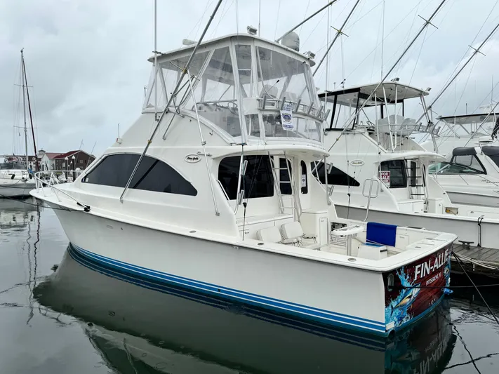 Fin - Allie Yacht Photos Pics 