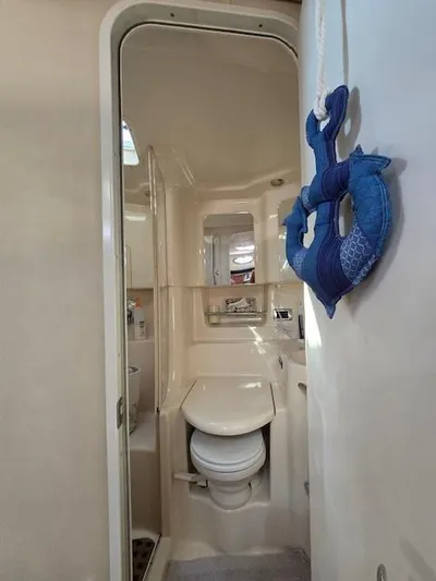 2 Spicy Yacht Photos Pics 