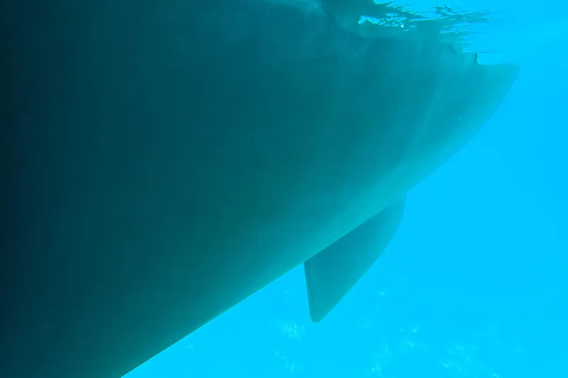 Refaire Yacht Photos Pics Underwater view of 2016 Fountaine Pajot Lucia 40 catamaran hull.