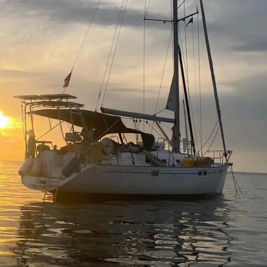 Layla Yacht Photos Pics 