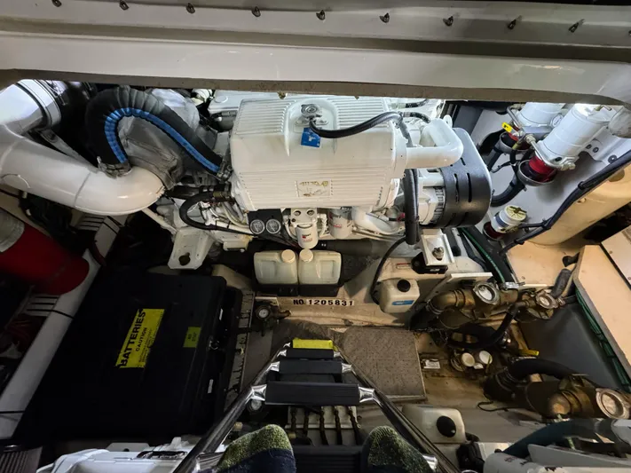 Cheers Yacht Photos Pics 