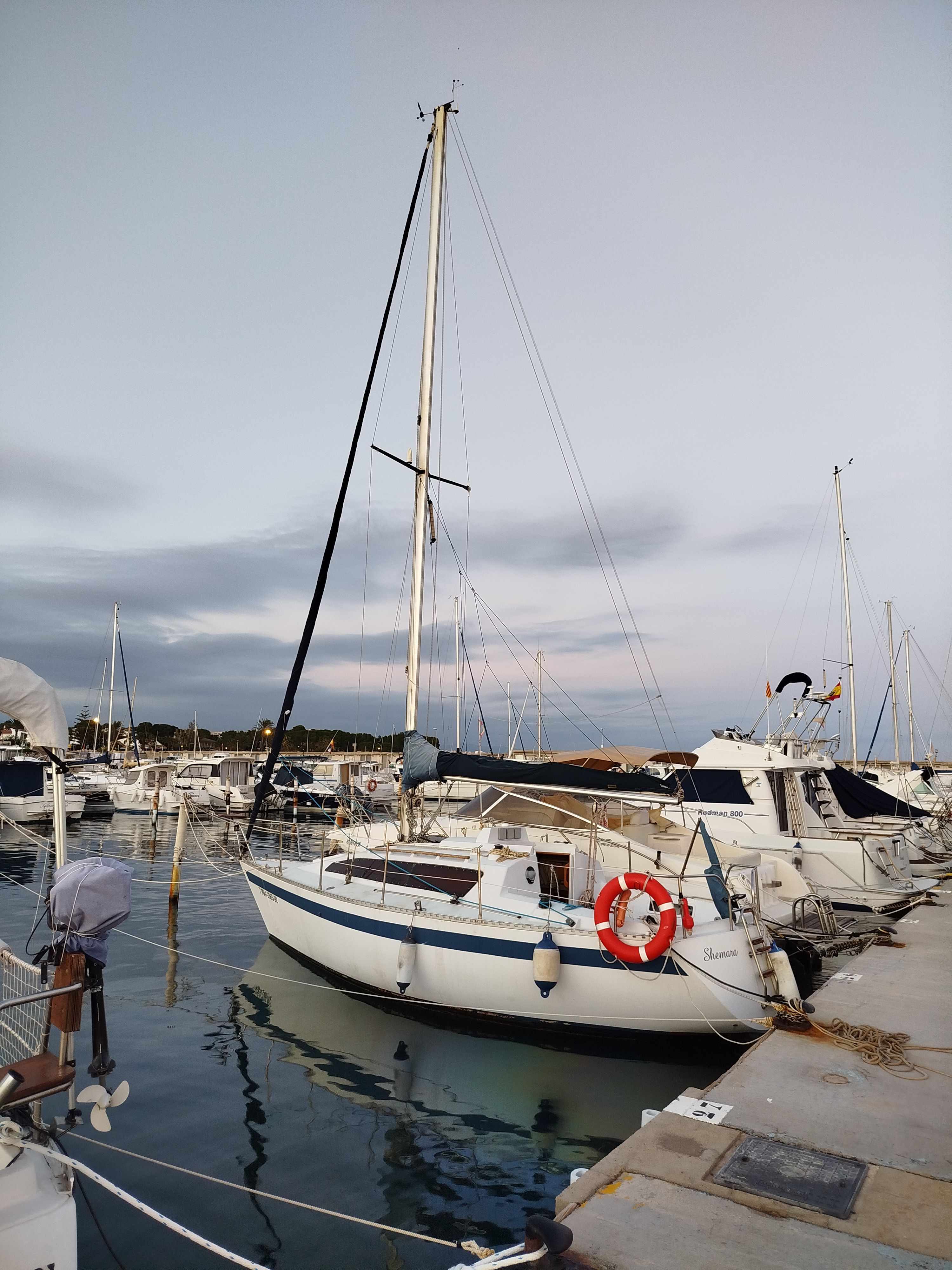 1981 Custom FURIA 25