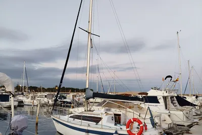 1981 Custom FURIA 25