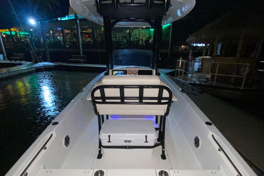 2021 Boston Whaler 250 Dauntless
