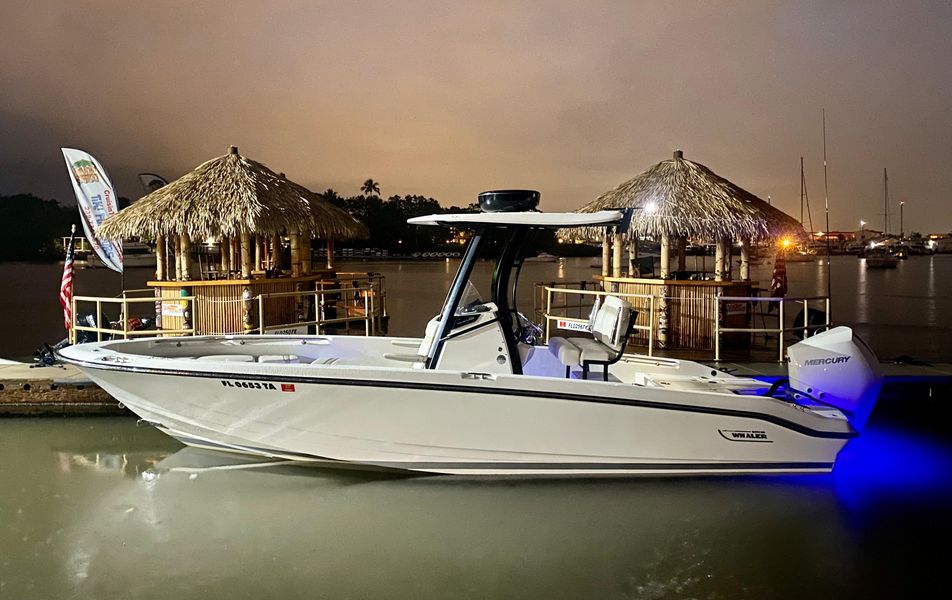 2021 Boston Whaler 250 Dauntless