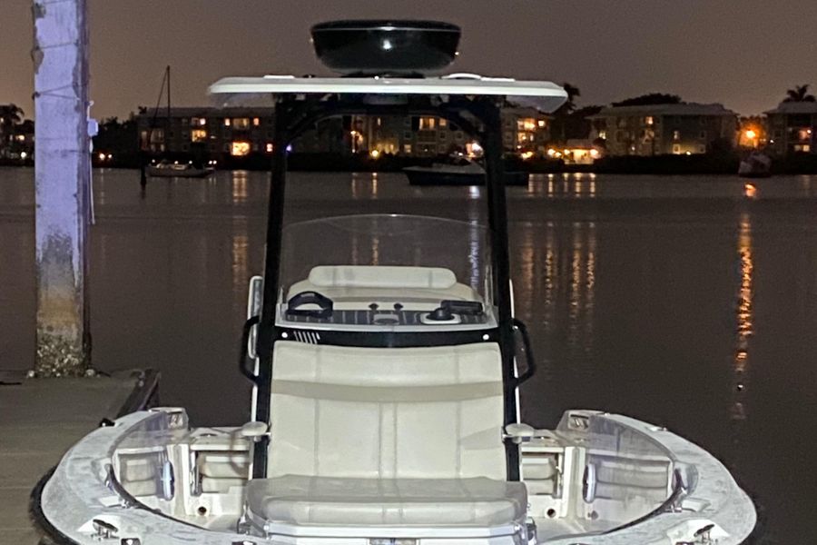 2021 Boston Whaler 250 Dauntless