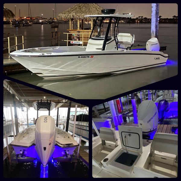 2021 Boston Whaler 250 Dauntless