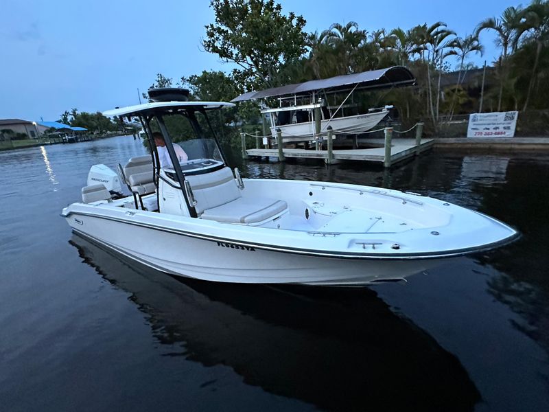 2021 Boston Whaler 250 Dauntless