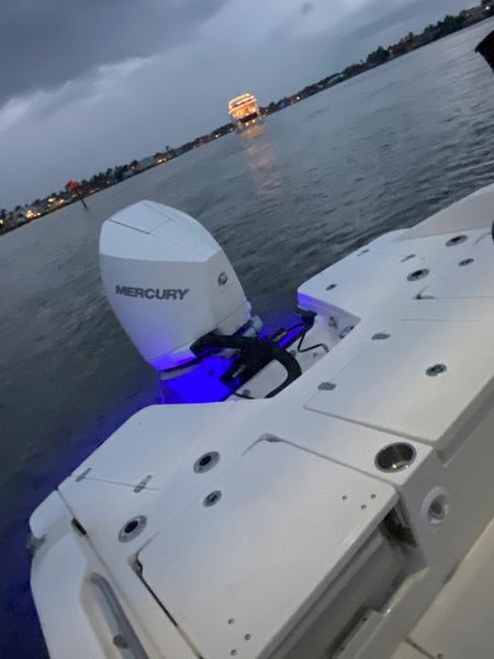 2021 Boston Whaler 250 Dauntless