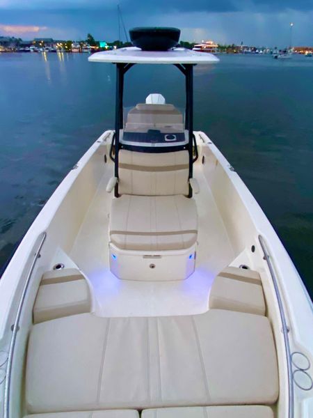 2021 Boston Whaler 250 Dauntless