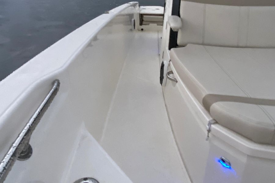 2021 Boston Whaler 250 Dauntless