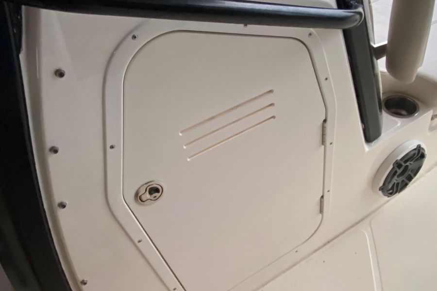 2021 Boston Whaler 250 Dauntless