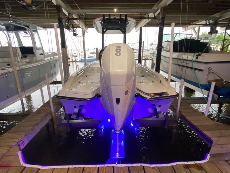 2021 Boston Whaler 250 Dauntless