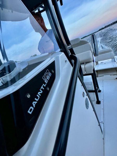 2021 Boston Whaler 250 Dauntless