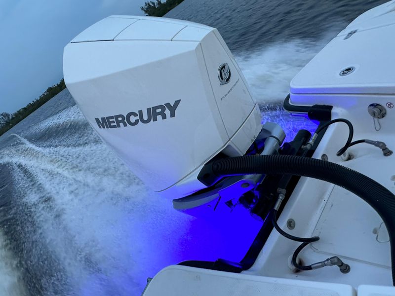 2021 Boston Whaler 250 Dauntless