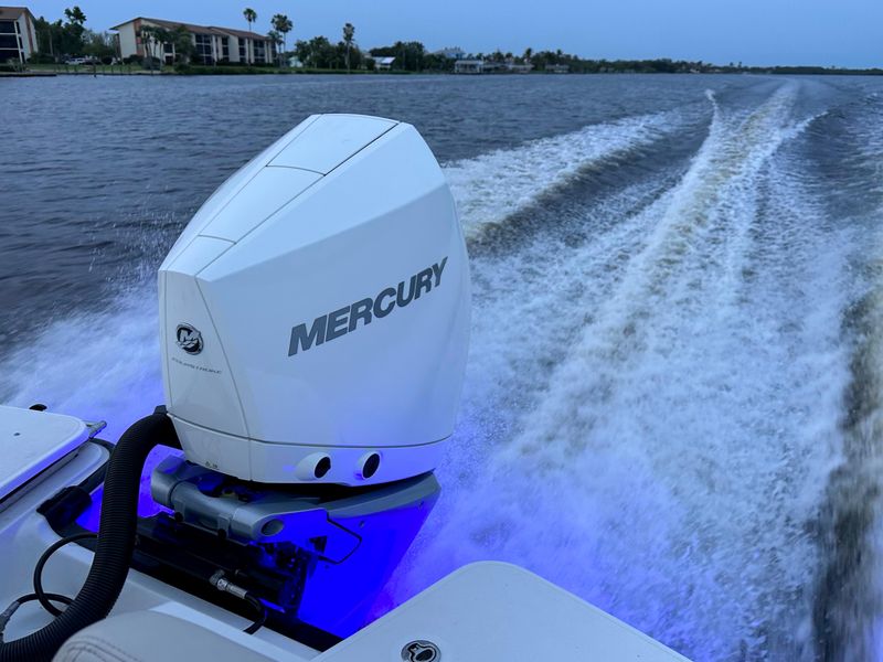 2021 Boston Whaler 250 Dauntless
