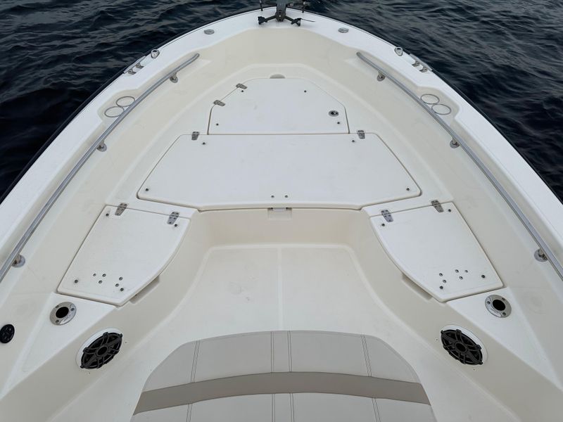 2021 Boston Whaler 250 Dauntless