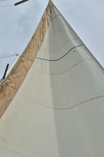  Yacht Photos Pics Genoa sail