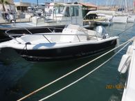 2019 White Shark 206