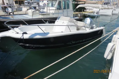 2019 White Shark 206