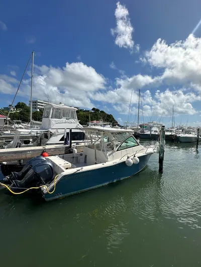  Yacht Photos Pics 2022 Grady-White Express 330 boat docked in sunny marina.