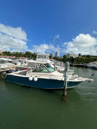  Yacht Photos Pics 2022 Grady-White Express 330 boat docked in a marina under a clear blue sky.