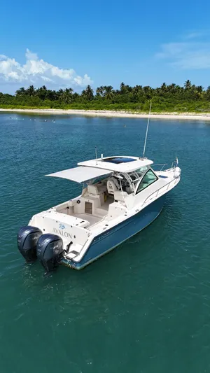  Yacht Photos Pics 2022 Grady-White Express 330 boat on calm water near a tropical shoreline.