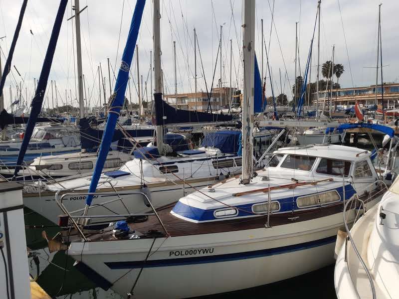 1986 Custom Mascot 28