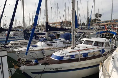 1986 Custom Mascot 28