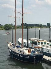 1996 Beeldsnijder 50 Schoener