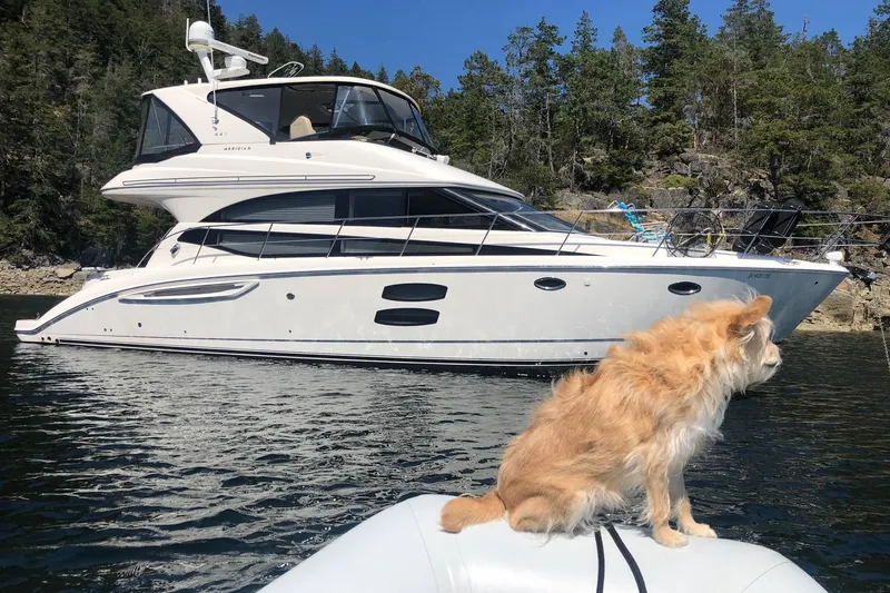  Yacht Photos Pics Meridian 441 at Rest