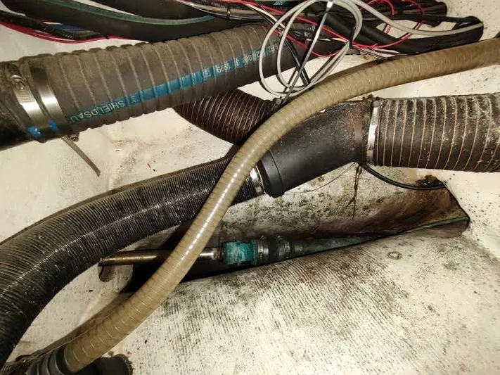 Genesis Of Argyll Yacht Photos Pics 