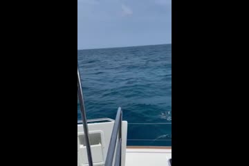 Video Placeholder