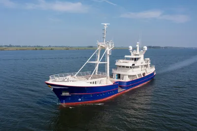 Damen Custom