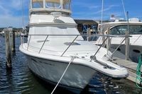 1988 Tiara Yachts 3600 Convertible