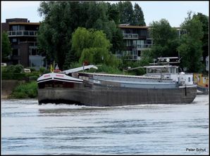 1956 Spits 38.85