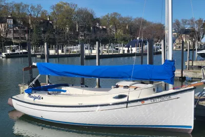 Com-Pac Horizon Day Cat