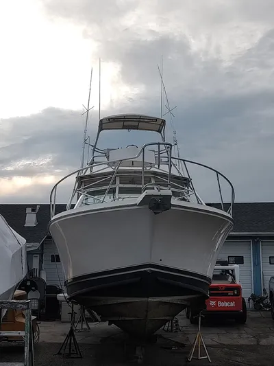  Yacht Photos Pics 1998 Cabo 31 Express boat in a marina, overcast sky background.