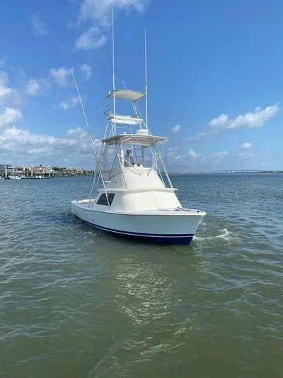 Andros Won Yacht Photos Pics 