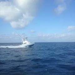 Andros Won Yacht Photos Pics 