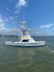 Andros Won Yacht Photos Pics 